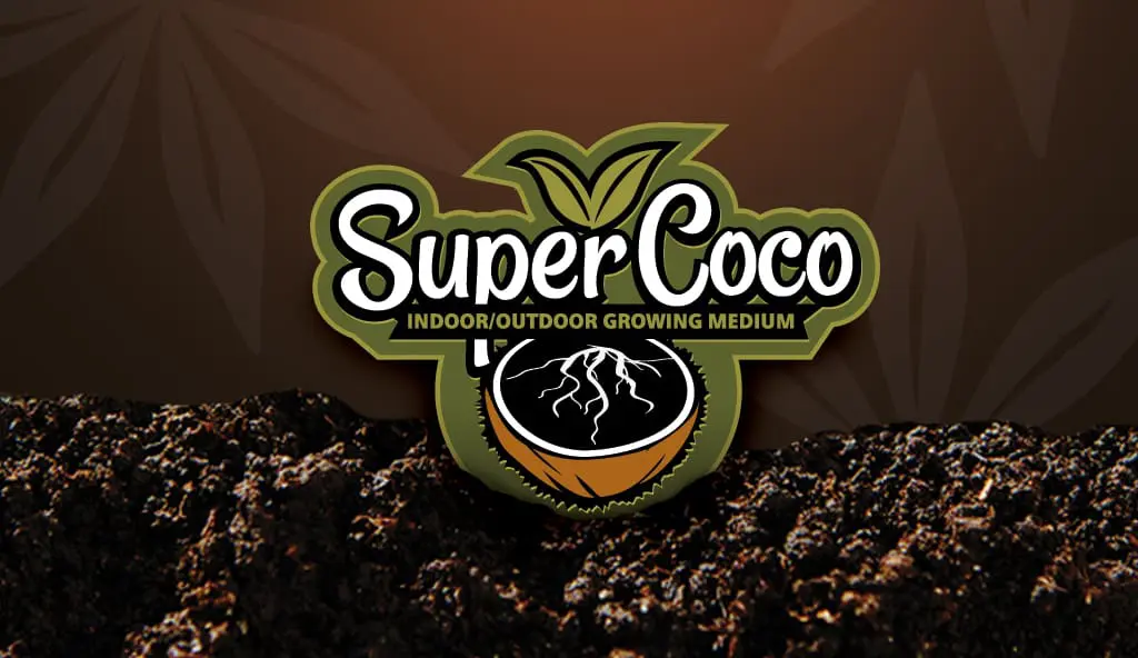 Super Coco - Bighouse Graphix