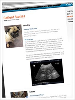 SVIMIC Patient Stories